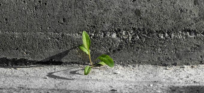 Titelbild: Man wird jetzt wieder träumen müssen