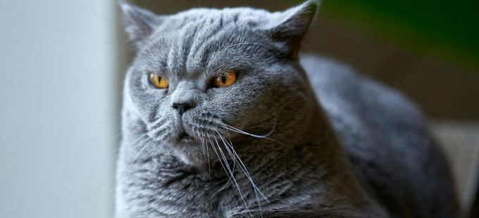 Titelbild: Eine kleine Philosophie der Unzufriedenheit