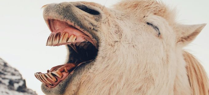 Titelbild: Wozu wir das Hässliche brauchen