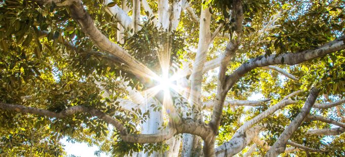 Titelbild: Sinn des Lebens: &bdquo;Wir sollten uns &ouml;fter die Sinnfrage stellen&ldquo;