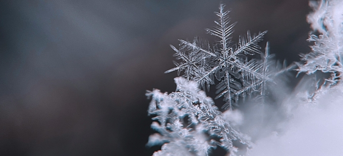 Titelbild: „Der Eindruck entsteht, dass die Menschen immer fragiler werden“