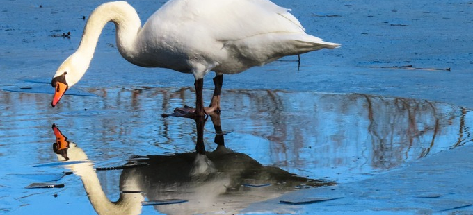 Titelbild: Wie Selbsterkenntnis gelingen kann
